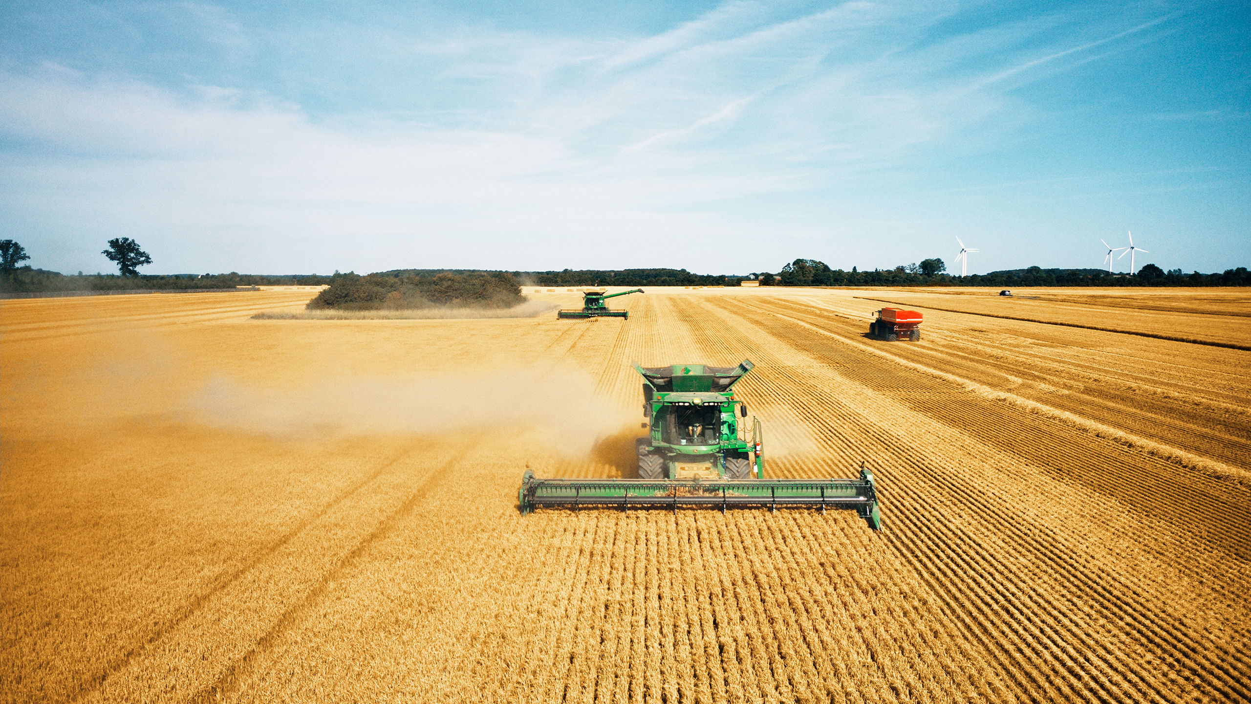 20240714 - SG Harvest - 167.jpg